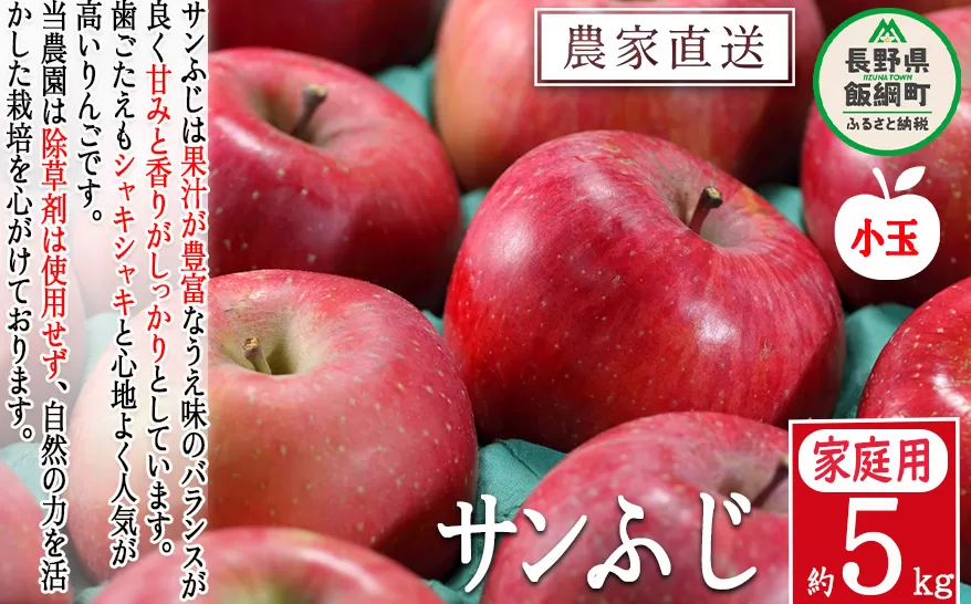 りんご サンふじ ( 小玉 ) 家庭用 5kg 松澤農園 沖縄県への配送不可 2025年11月下旬頃から2026年2月下旬頃まで順次発送予定 令和7年度収穫分 長野県 飯綱町 [0717]