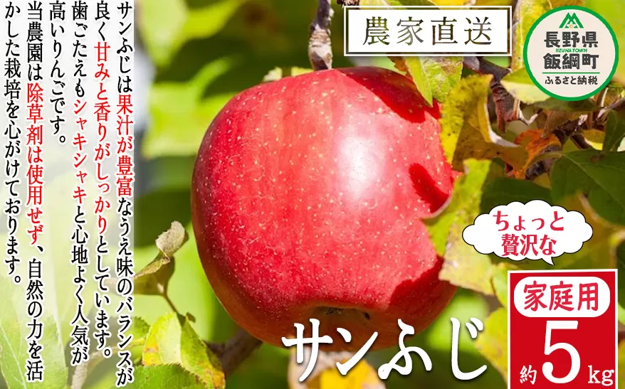 りんご サンふじ ちょっぴり贅沢な 家庭用 5kg 松澤農園 沖縄県への配送不可 2025年11月下旬頃から2026年2月下旬頃まで順次発送予定 令和7月年度収穫分 長野県 飯綱町 [0715]