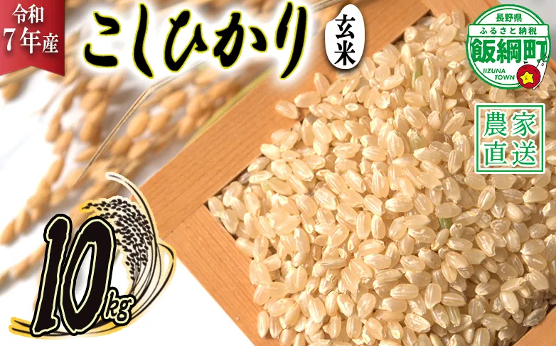米 こしひかり ( 玄米 ) 10kg ( 令和7年産 ) 2025年10月上旬頃から順次発送予定 米澤商店 コシヒカリ 玄米 長野県 飯綱町 [1356]