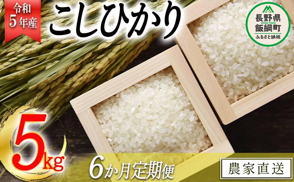 米 こしひかり 5kg × 6回 【 6か月 定期便 】( 令和5年産 ) 沖縄県への配送不可 2023年11月上旬頃から順次発送予定 米澤商店 コシヒカリ 白米 精米 長野県 飯綱町 [1350]