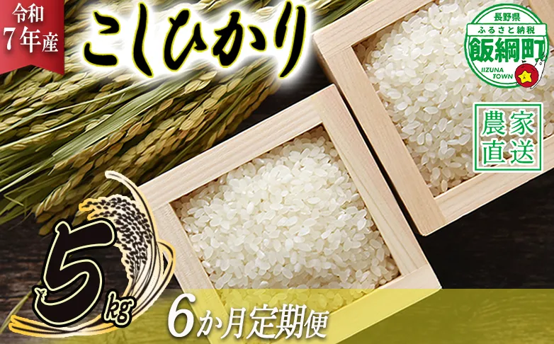 米 こしひかり 5kg × 6回 【 6か月 定期便 】( 令和7年産 ) 沖縄県への配送不可 2025年10月上旬頃から順次発送予定 米澤商店 コシヒカリ 白米 精米 長野県 飯綱町 [1350]