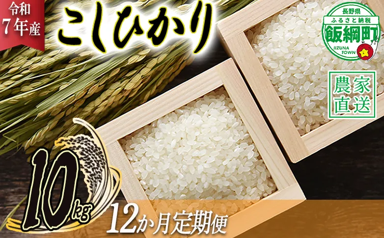 米 こしひかり 10kg × 12回 【 12か月 定期便 】( 令和7年産 ) 2025年10月上旬頃から順次発送予定 米澤商店 コシヒカリ 白米 精米 長野県 飯綱町 [1247]
