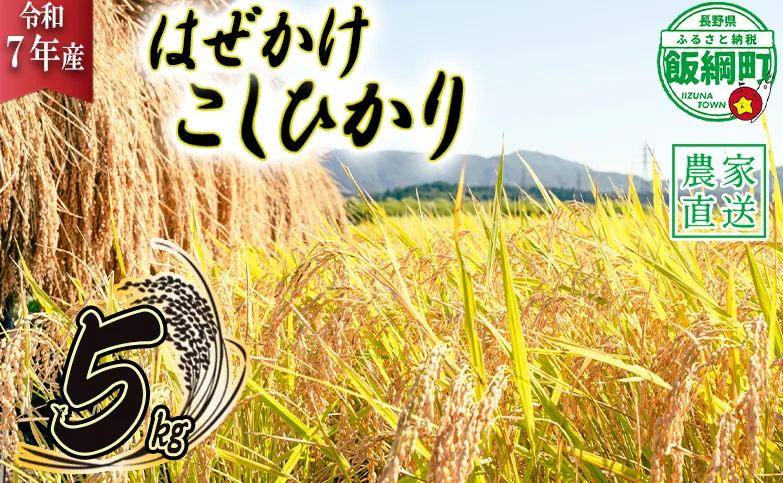 米 こしひかり 5kg ( 令和7年産 ) 黒柳さんのお米 はぜかけ 沖縄県への配送不可 2025年11月上旬頃から順次発送予定 コシヒカリ 白米 精米 お米 信州 14000円 予約 農家直送 長野県 飯綱町 [0107]