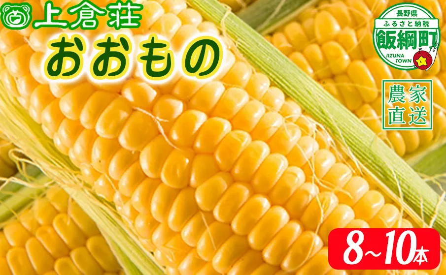 信州産 朝採りとうもろこし 8本～10本 ( おおもの ) 上倉荘 配送先は本州限定 2024年8月上旬頃から2024年9月下旬頃まで順次発送予定 信州 トウモロコシ コーン  おおもの 野菜 12500円 長野県 飯綱町 [0763]