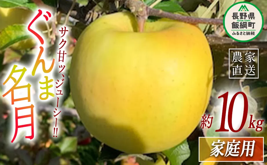 りんご ぐんま名月 家庭用 10kg ファームトヤ 沖縄県への配送不可 2024年11月中旬頃から2024年12月下旬頃まで順次発送予定 令和6年度収穫分 信州 果物 フルーツ リンゴ 林檎 名月 長野 23500円 予約 農家直送  長野県 飯綱町 [1425]