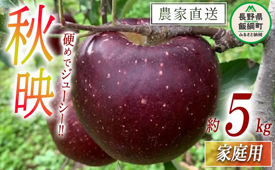 りんご 秋映 家庭用 5kg ファームトヤ 沖縄県への配送不可 2024年10月上旬頃から2024年10月下旬頃まで順次発送予定 令和6年度収穫分 信州 果物 フルーツ リンゴ 林檎 あきばえ 秋映え りんご3兄弟 長野 13000円 予約 農家直送 長野県 飯綱町 [1140]