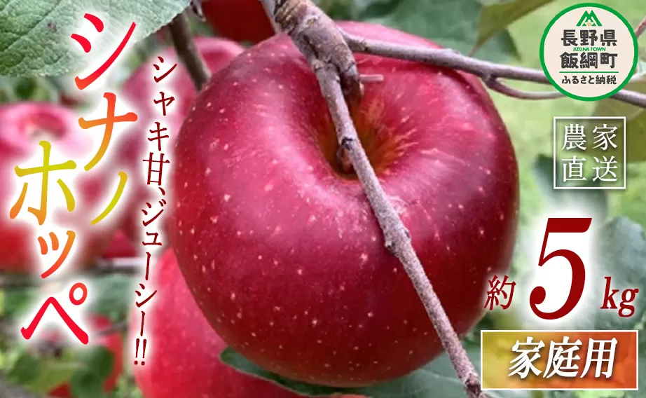 りんご シナノホッペ 家庭用 5kg ファームトヤ 沖縄県への配送不可 2024年11月上旬頃から2024年11月下旬頃まで順次発送予定 令和6年度収穫分 信州 果物 フルーツ リンゴ 林檎 長野 14500円 予約 農家直送 長野県 飯綱町 [0945]