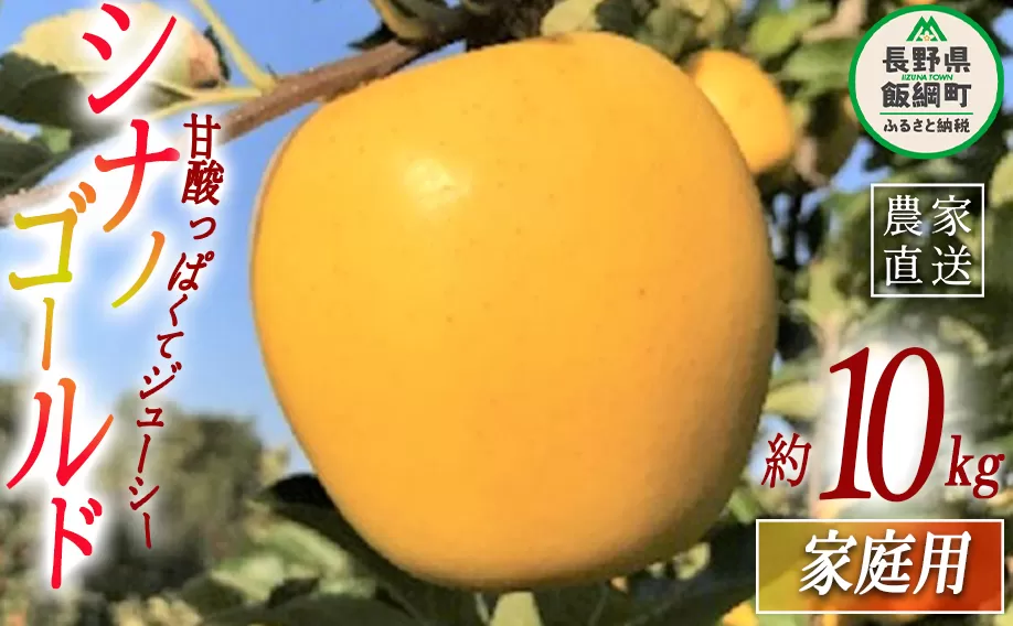 りんご シナノゴールド 家庭用 10kg ファームトヤ 沖縄県への配送不可 2024年11月中旬頃から2024年12月下旬頃まで順次発送予定 令和6年度収穫分 信州 果物 フルーツ リンゴ 林檎 長野 23500円 予約 農家直送 長野県 飯綱町 [1145]
