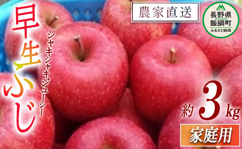 りんご 市場では見かけないりんご 早生ふじ 家庭用 3kg ファームたんぽぽ 沖縄県への配送不可 2023年10月上旬頃から2023年10月中旬頃まで順次発送予定 令和5年度収穫分 除草剤不使用 長野県 飯綱町 [0731]