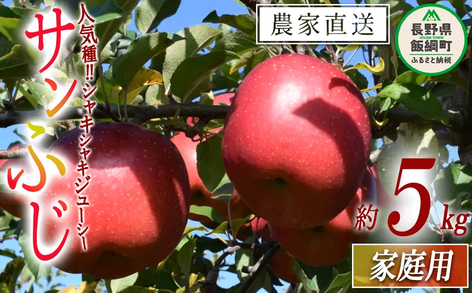 りんご サンふじ 家庭用 5kg ファームたんぽぽ 沖縄県への配送不可 2025年12月上旬頃から2025年12月下旬頃まで順次発送予定 令和7年度収穫分 信州 果物 フルーツ リンゴ 林檎 長野 予約 農家直送 長野県 飯綱町 [0735]