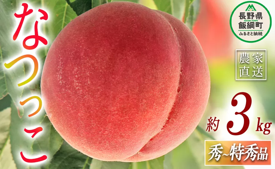 もも なつっこ 秀  特秀 約 3kg 大垣農園 配送先は本州限定 2023年8月中旬頃から2023年8月下旬頃まで順次発送予定 令和5年度収穫分 信州 果物 フルーツ モモ 桃 川中島 白桃 あかつき オリジナル品種 長野 16000円 予約 農家直送 長野県 飯綱町 [0443]