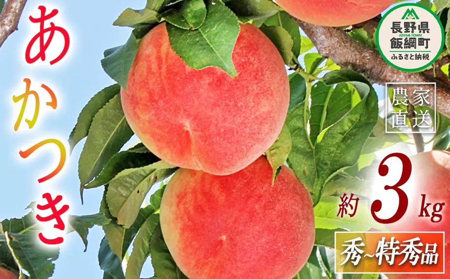 もも あかつき 秀  特秀 約 3kg 大垣農園 配送先は本州限定 2023年8月上旬頃から2023年8月中旬頃まで順次発送予定 令和5年度収穫分 信州 果物 フルーツ モモ 桃 長野 16000円 予約 農家直送 長野県 飯綱町 [0316]