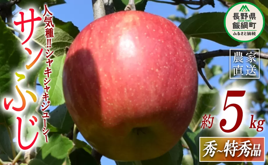 りんご サンふじ 秀  特秀 5kg 大垣農園 沖縄県への配送不可 2023年11月下旬頃から2023年12月下旬頃まで順次発送予定 令和5年度収穫分 信州 果物 フルーツ リンゴ 林檎 長野 15500円 予約 農家直送 長野県 飯綱町 [0318]