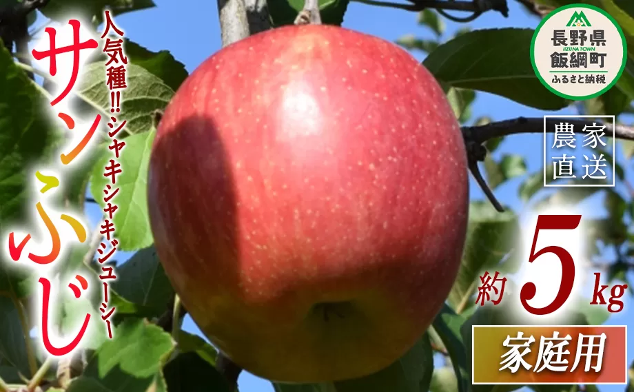 りんご サンふじ 家庭用 5kg 大垣農園 沖縄県への配送不可 2023年11月下旬頃から2023年12月下旬頃まで順次発送予定 令和5年度収穫分 信州 果物 フルーツ リンゴ 林檎 長野 10500円 予約 農家直送 長野県 飯綱町 [1132]