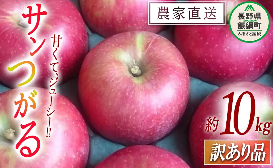 りんご サンつがる 訳あり 10kg マルヤマフルーツ農園 沖縄県への配送不可 2024年8月下旬頃から2024年9月中旬頃までお申込み順に発送予定 令和6年度収穫分 農産物認証50-30 減農薬栽培 ( 除草剤 化学肥料 不使用 ) 長野県 飯綱町 [0365]