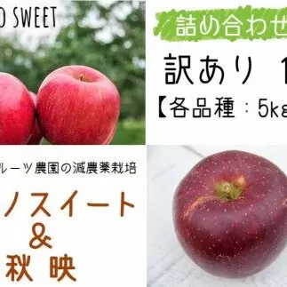[0375]【令和6年度収穫分】秋映 5kg ＆ シナノスイート 5kg （訳あり） 合計10kg セット　※沖縄および離島への配送不可　※2024年10月中旬頃から順次発送予定　マルヤマフルーツ農園　信州の環境にやさしい農産物50-30　減農薬栽培　除草剤・化学肥料なし　長野県飯綱町
