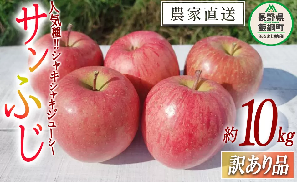 りんご サンふじ 訳あり 10kg マルヤマフルーツ農園 沖縄県への配送不可 2024年12月上旬頃から12月下旬頃までお申込み順に発送予定 令和6年度収穫分 農産物認証50-30 減農薬栽培 ( 除草剤 化学肥料 不使用 ) 長野県 飯綱町 [0351]