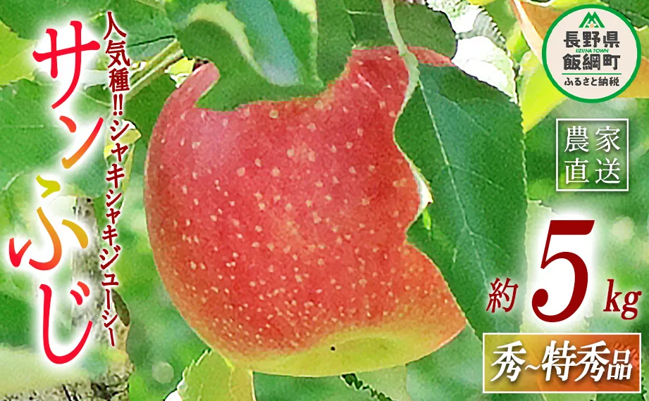 りんご サンふじ 秀 ～ 特秀 5kg 永正の地蔵尊神谷農園 沖縄県への配送不可 2025年12月上旬頃から2026年2月上旬頃まで順次発送予定 令和7年度収穫分 信州 果物 フルーツ リンゴ 林檎 長野 16000円 予約 農家直送 長野県 飯綱町 [0311]