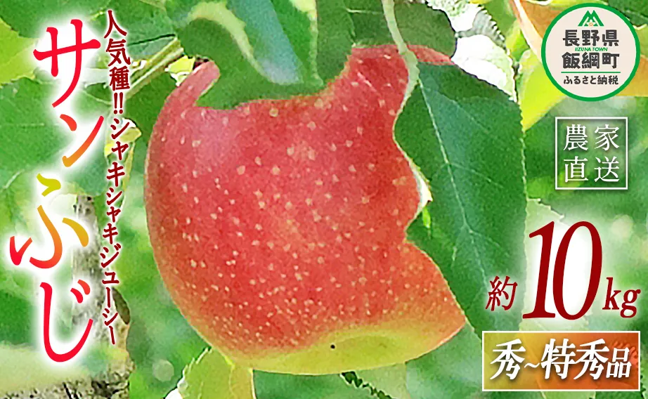 りんご サンふじ 秀 ～ 特秀 10kg 永正の地蔵尊神谷農園 2025年12月上旬頃から2026年2月上旬頃まで順次発送予定 令和7年度収穫分 信州 果物 フルーツ リンゴ 林檎 長野 27000円 予約 農家直送 長野県 飯綱町 [0312]