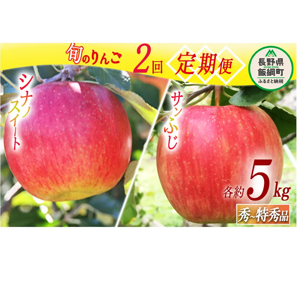 旬のりんご 【 定期便 】 秀 ～ 特秀 5kg × 2回 永正の地蔵尊神谷農園 沖縄県への配送不可 2025年10月上旬頃から2025年12月中旬頃まで順次発送予定 令和7年度収穫分 信州 果物 フルーツ リンゴ 林檎 長野 31000円 予約 農家直送 長野県 飯綱町 [0776]