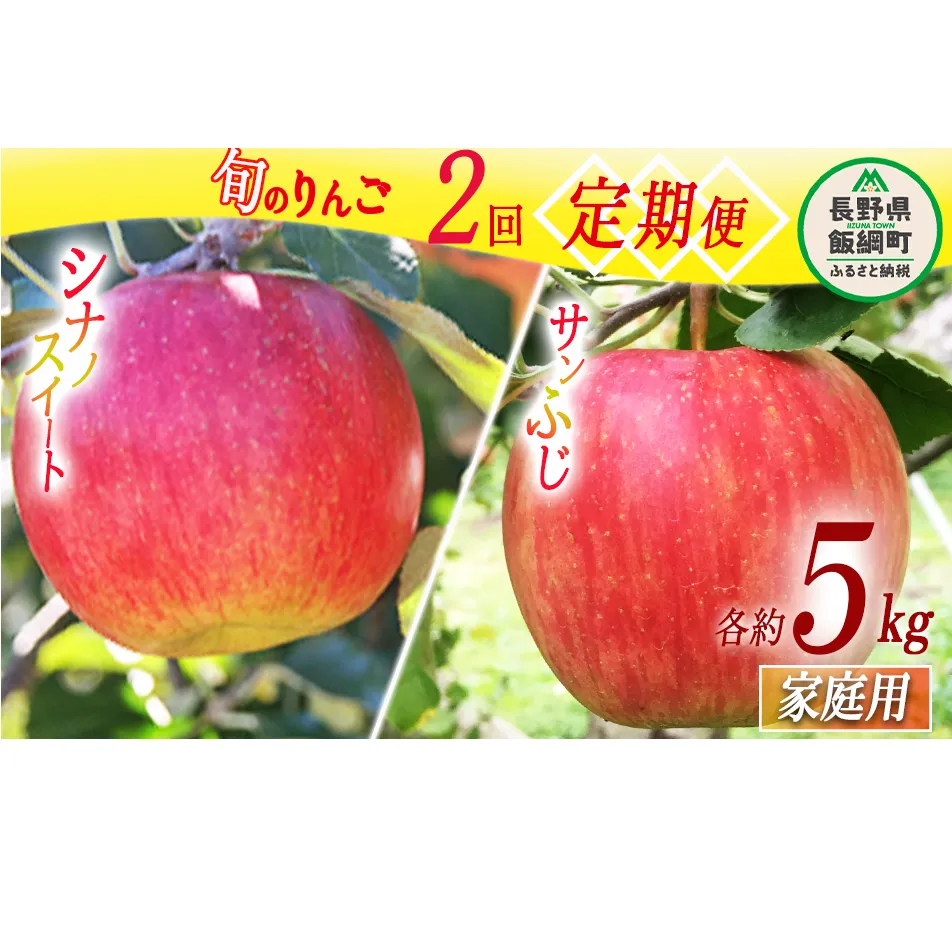 旬のりんご 【 定期便 】 家庭用 5kg × 2回 永正の地蔵尊神谷農園 沖縄県への配送不可 2025年10月上旬頃から2025年12月中旬頃まで順次発送予定 令和7年度収穫分 信州 果物 フルーツ リンゴ 林檎 長野 25000円 予約 農家直送 長野県 飯綱町 [0777]