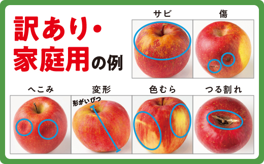 旬のりんご 【 定期便 】 家庭用 5kg × 2回 永正の地蔵尊神谷農園 沖縄 