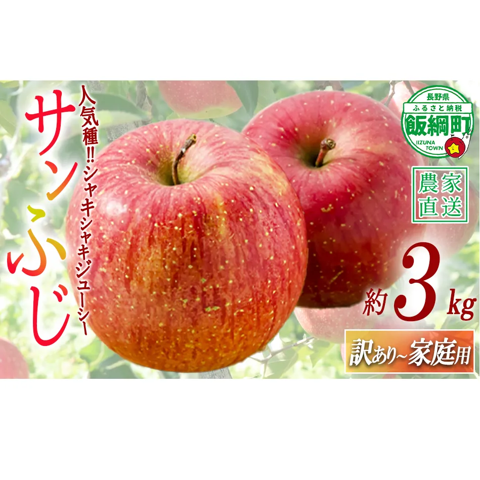 ＼農家応援企画／【令和8年度先行予約返礼品】りんご サンふじ 3kg （約 8 ～ 13玉 ） 訳あり ～ 家庭用 《 ふじ リンゴ 林檎 訳アリ わけあり 不揃い 果物 くだもの フルーツ 長野県産 長野 お試し 》 令和8年収穫分 2026年11月下旬から2027年2月上旬頃までお申込み順に発送予定 長野県 飯綱町 [0566]