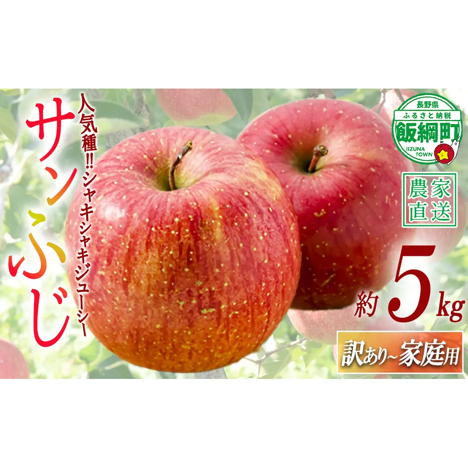 ＼農家応援企画／【令和8年度先行予約返礼品】りんご サンふじ 5kg 訳あり ～ 家庭用 ふじ リンゴ 林檎 訳アリ わけあり 不揃い 果物 くだもの フルーツ 長野県産 長野 お試し 令和8年収穫分 2026年11月下旬から2027年2月上旬頃までお申込み順に発送予定 長野県 飯綱町 [0582]