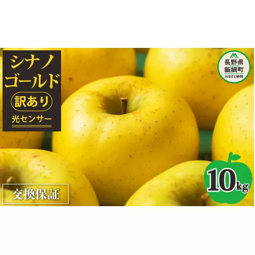りんご 10kg 【令和６年度先行予約】 果物 シナノゴールド 訳あり 長野県 感謝りんご 交換保証 規格外 傷あり 10キロ (２４から５０玉)  R6年11月頃か～順次発送 飯綱町[1209]