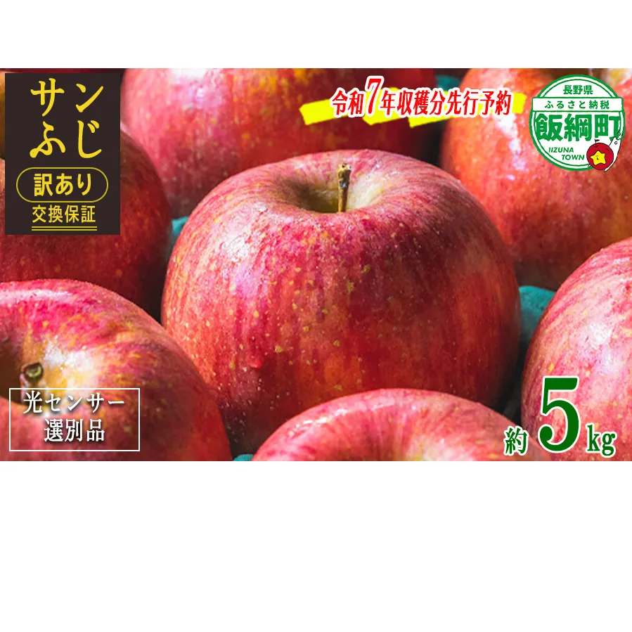 りんご ５Kg 【令和７年度先行予約】 果物 サンふじ 訳あり 長野 感謝りんご 交換保証 規格外 家庭用 傷あり ５キロ (12～25玉)  R7年12月～R8年１月末発送 長野県 飯綱町 [1211]