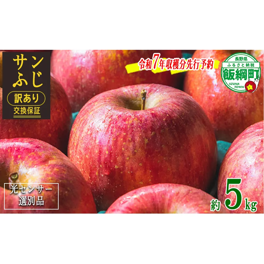 りんご ５Kg 【令和７年度先行予約】 果物 サンふじ 訳あり 長野 感謝りんご 交換保証 規格外 家庭用 傷あり ５キロ (12～25玉)  R7年12月～R8年１月末発送 長野県 飯綱町 [1211]