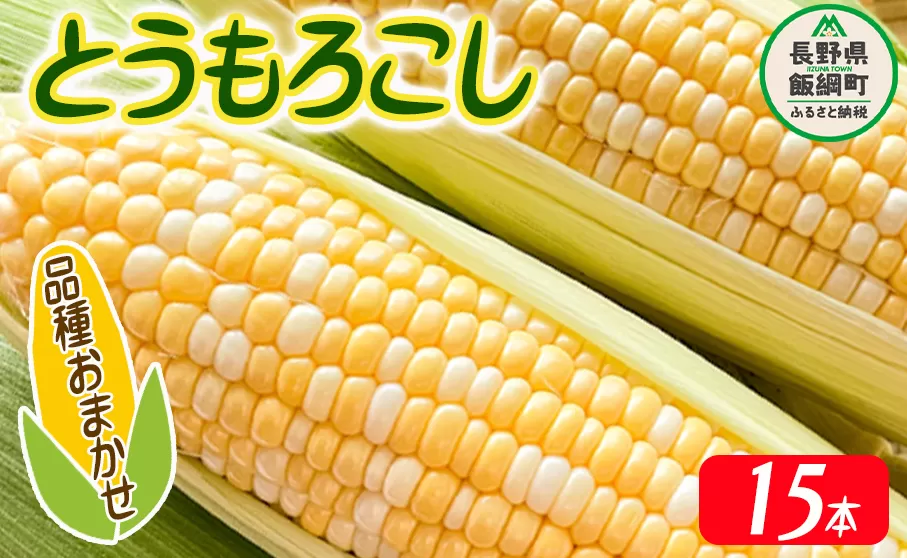 とうもろこし 15本 厳選品種 （品種おまかせ） 配送先は本州限定 ふるさと振興公社 2024年8月下旬頃から2024年9月上旬頃まで順次発送予定 信州 トウモロコシ コーン 長野県 飯綱町 [0293]