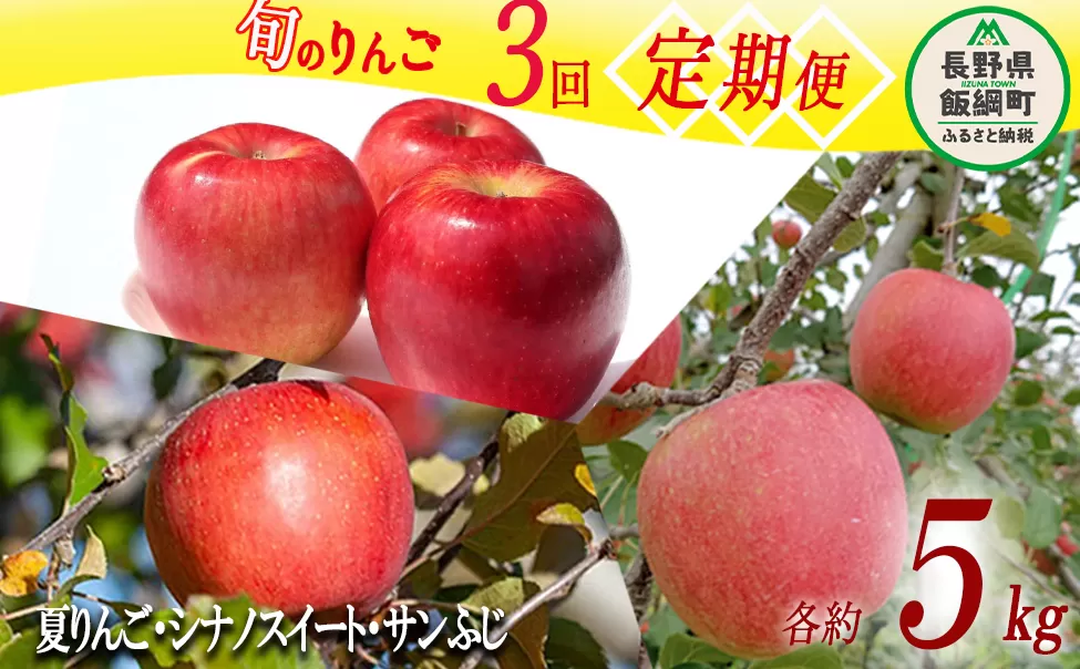 旬のりんご 3種 《 定期便 》 5kg × 3回 Cコース 沖縄県への配送不可 2024年9月上旬頃から2024年12月下旬頃まで順次発送予定 ふるさと振興公社 長野県 飯綱町 [0299]