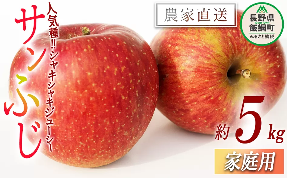 りんご サンふじ 家庭用 5kg 平井隆二 沖縄県への配送不可 2023年12月上旬頃から2023年12月下旬頃まで順次発送予定 令和5年度収穫分 信州 果物 フルーツ リンゴ 林檎 長野 12500円 予約 農家直送 長野県 飯綱町 [0565]