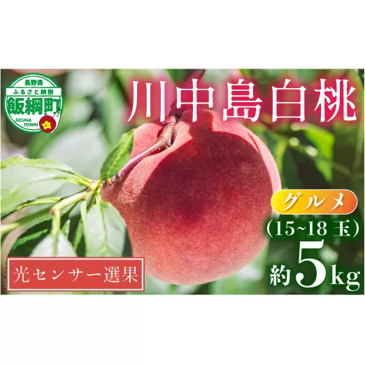 グルメ 桃 5kg （ 川中島白桃 ） 糖度13度以上 光センサー選別品沖縄県への配送不可 日時指定および不在指定不可 2025年8月下旬頃から2025年9月中旬頃まで順次発送予定 長野県 飯綱町 [0056]