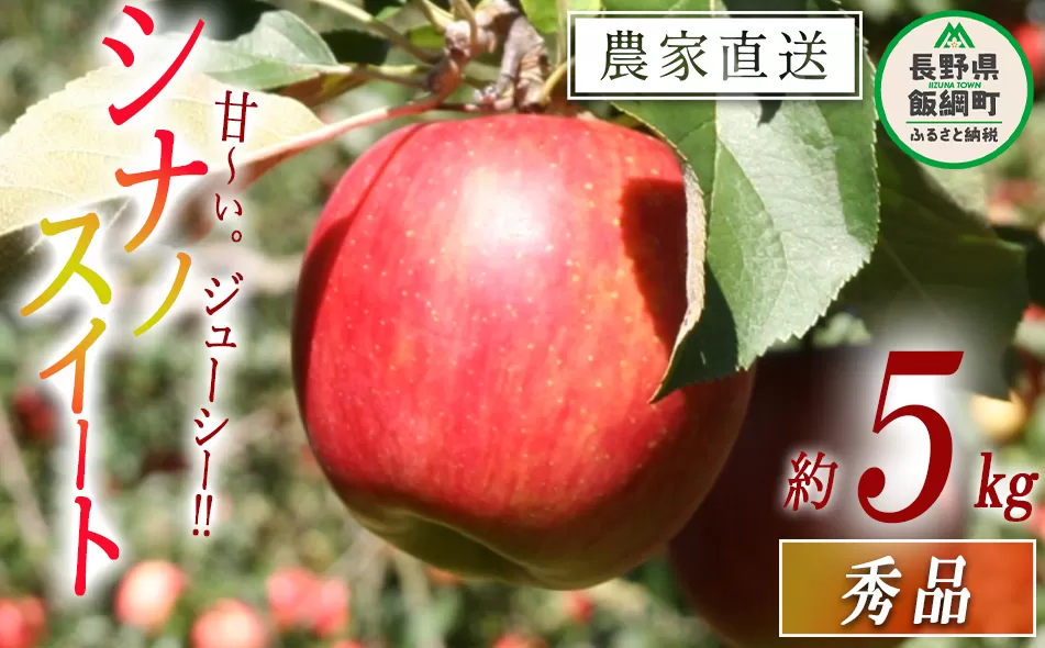 りんご シナノスイート 秀 5kg 令和7年度収穫分 沖縄県への配送不可 2025年10月上旬頃から2025年10月下旬頃まで順次発送予定 宮本ファーム エコファーマー 減農薬栽培 長野県 飯綱町 [1531]
