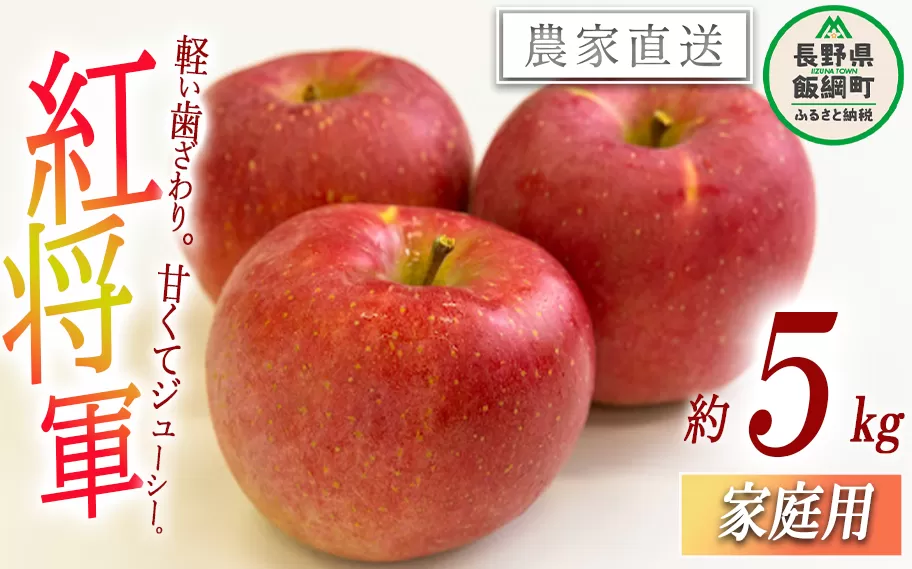 りんご 紅将軍 家庭用 5kg 永野農園 沖縄県への配送不可 2025年9月下旬頃から2025年10月上旬頃まで順次発送予定 令和7年度収穫分 信州 果物 フルーツ リンゴ 林檎 長野 予約 農家直送 長野県 飯綱町 [1556]