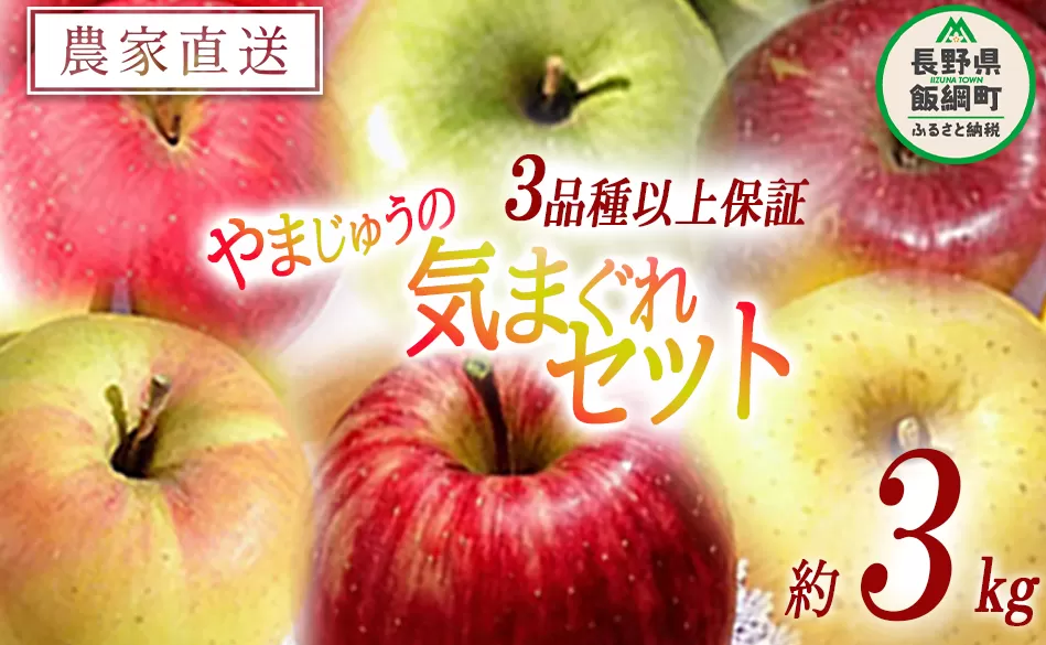 りんご 3品種以上保証 気まぐれセット 3kg 詰め合わせ セット やまじゅうファーム 沖縄県への配送不可 2025年11月中旬頃から2025年12月下旬頃まで順次発送予定 令和7年度収穫分 信州の環境にやさしい農産物 減農薬栽培 長野県 飯綱町 [1538]