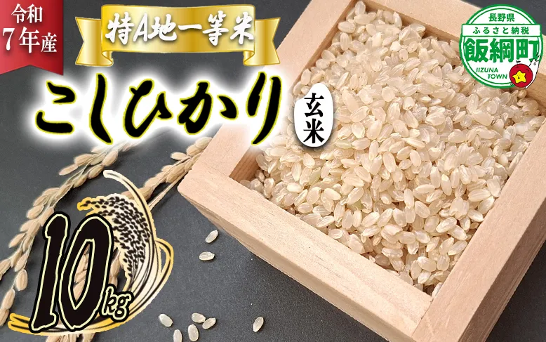 【 特A一等米 / コシヒカリ 】 玄米 こしひかり 10kg ( 令和7年産 ) ふるさと振興個社 2025年11月上旬頃から順次発送予定 コシヒカリ 玄米 お米 信州 予約 農家直送 長野県 飯綱町 [1560]