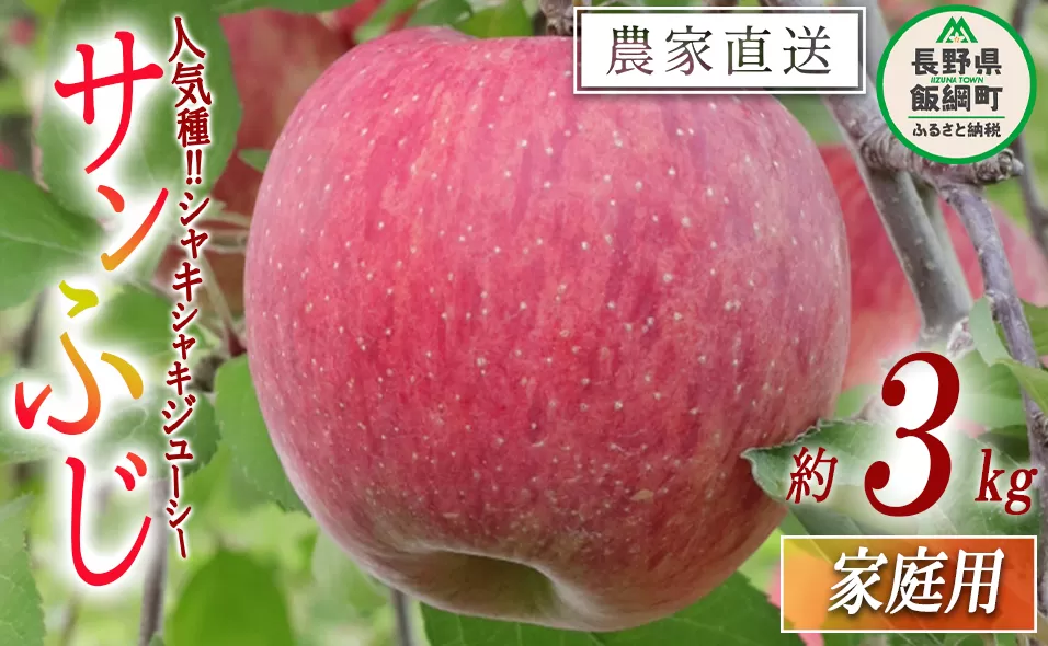 りんご 食べきりサンふじ 家庭用 3kg 大友農場 エコファーマー認定 沖縄県への配送不可 2025年12月中旬頃から2026年1月下旬頃まで順次発送予定 令和7年度収穫分 信州 果物 フルーツ リンゴ 林檎 長野 予約 農家直送 長野県 飯綱町 [1550]