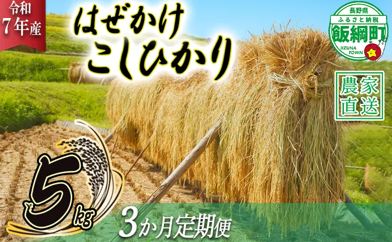 米 はぜかけ こしひかり 5kg × 3回 【 3か月 定期便 】( 令和7年産 ) 増田ファーム 沖縄県への配送不可 2025年11月上旬頃から順次発送予定 コシヒカリ 白米 精米 お米 信州 予約 農家直送 長野県 飯綱町 [0815]