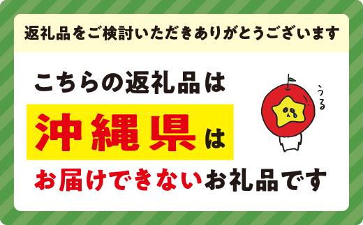 旬のりんご 【 定期便 】 秀 ~ 特秀 5kg × 2回 永正の地蔵尊 旬のりんご 【 定期便 】 秀 ~ 特秀 5kg × 2回 永正の地蔵尊