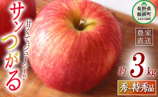 りんご サンつがる 秀～特秀3kg マルハ農園 沖縄県への配送不可 2025年9月上旬頃から2025年9月下旬頃まで順次発送予定 令和7年度収穫分 エコファーマー認定 信州 果物 フルーツ リンゴ 林檎 長野 12000円 予約 農家直送 長野県 飯綱町 [1621]