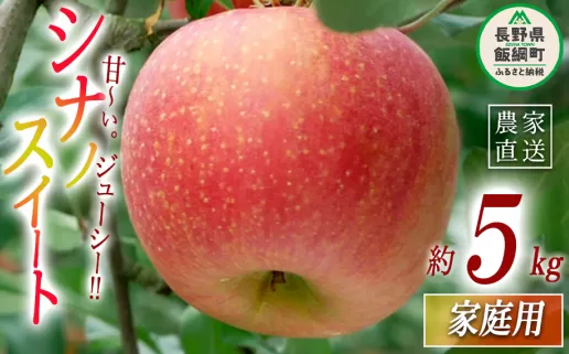 りんご シナノスイート 家庭用 5kg マルハ農園 沖縄県への配送不可 2025年10月上旬頃から2025年11月上旬頃まで順次発送予定 令和7年度収穫分 エコファーマー認定 信州 果物 フルーツ リンゴ 林檎 長野 13000円 予約 農家直送 長野県 飯綱町 [1623]