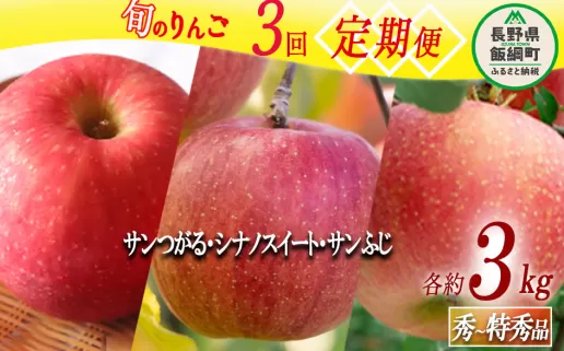 旬のりんご 【 定期便 】 秀 〜 特秀 3kg × 3回 マルハ農園 沖縄県への配送不可 2025年9月上旬頃から2025年12月下旬頃まで順次発送予定 令和7年度収穫分 エコファーマー認定 信州 果物 フルーツ リンゴ 林檎 長野 36000円 予約 農家直送 長野県 飯綱町 [1641]