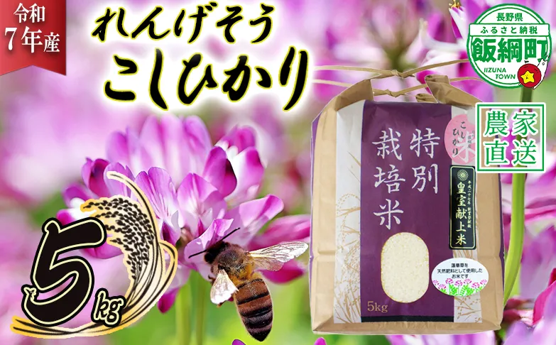 米 れんげそう こしひかり 5kg ( 令和7年産 ) 特別栽培米 仲俣農園 2025年10月上旬頃から順次発送予定 コシヒカリ 白米 精米 お米 信州 26500円 予約 農家直送 長野県 飯綱町 [1626]