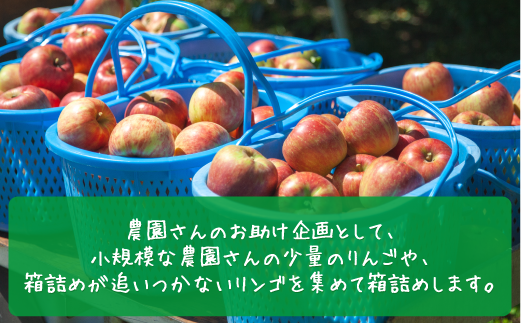 りんご 旬のりんご ＜ 定期便 ＞ 家庭用 訳あり 2kg × 3回 農家応援 