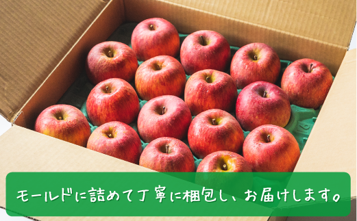 りんご 旬のりんご ＜ 定期便 ＞ 家庭用 訳あり 2kg × 3回 農家応援 