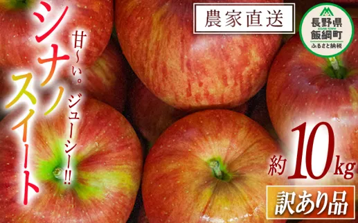 りんご シナノスイート 訳あり 10kg 令和7年度収穫分 沖縄県への配送不可 2025年10月上旬頃から2025年10月下旬頃まで順次発送予定 宮本ファーム エコファーマー 減農薬栽培 長野県 飯綱町 [1532]