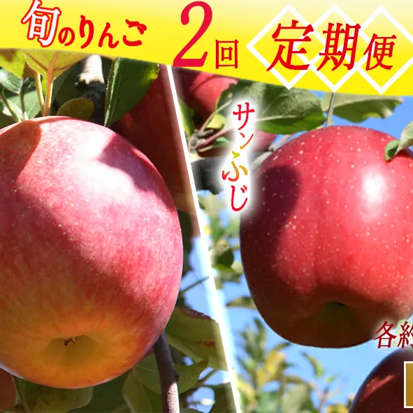 季節のりんご 【定期便】2品種 5kg × 2回 秀 原山農園 沖縄へは配送不可  2024年10月中旬から発送予定 長野県 飯綱町 [1825]